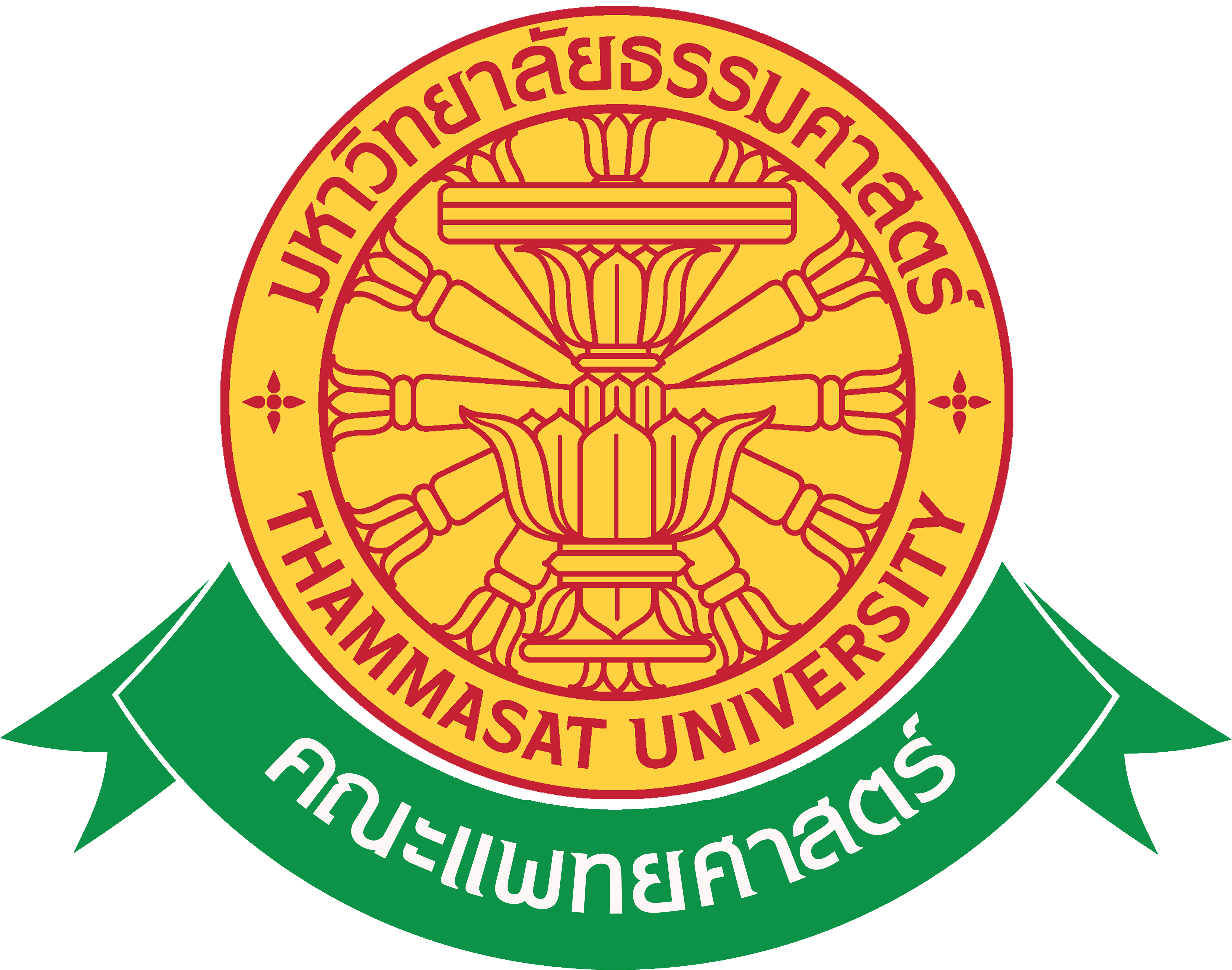 Faculty of Medicine TU