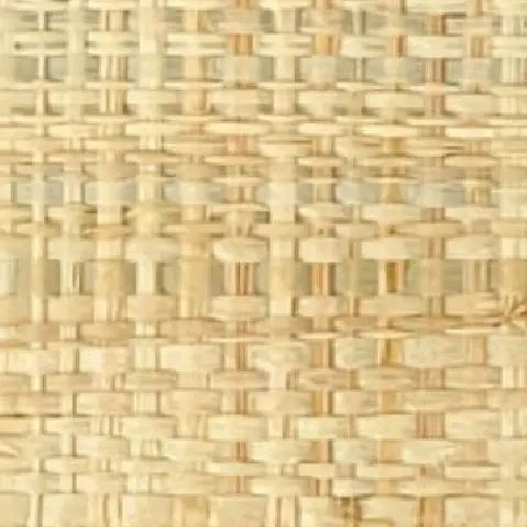 Raffia Grass - C1